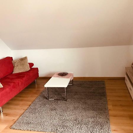 Grosses 1-Zimmer Wohlfuhl-Appartement Rednitzhembach Екстериор снимка